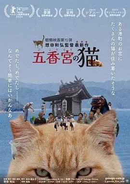 五香宫的猫