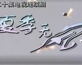 夏季无风