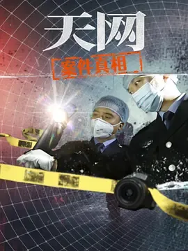 天网案件真相