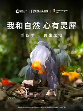 我和自然心有灵犀第4季