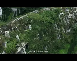 赵小康的广场舞