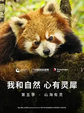 我和自然心有灵犀第5季