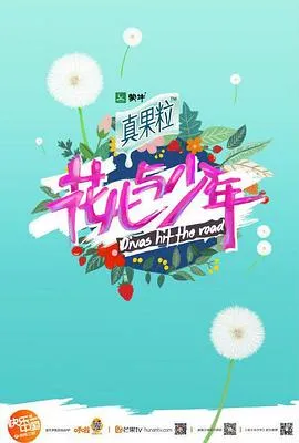 花儿与少年第4季