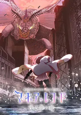 魔法纪录魔法少女小圆外传