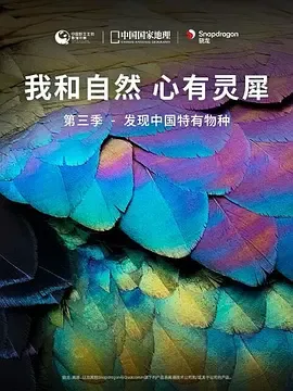 我和自然心有灵犀第3季
