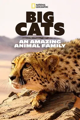 猫科动物奇妙的动物家族