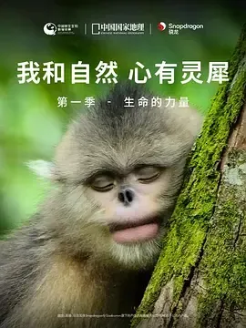 我和自然心有灵犀第1季