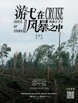 游弋在风暴之中