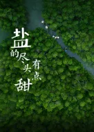 盐的尽头有点甜