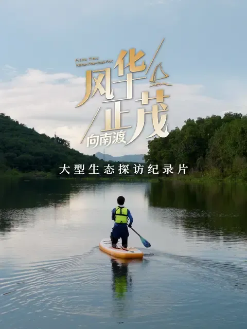 风华正茂第3季