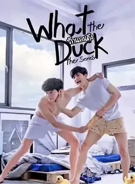 爱的着陆第1季