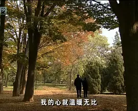 花落时节