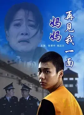 妈妈再见我一面