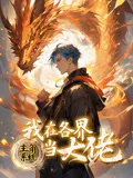 主角系统我在各界当大佬