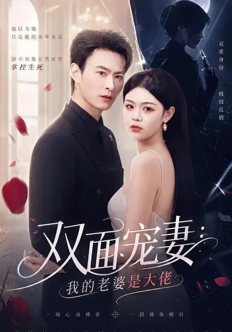 双面宠妻我的老婆是大佬