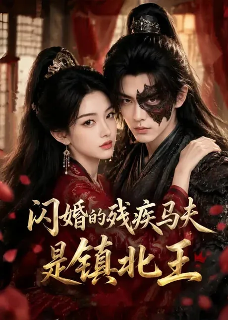闪婚的残疾马夫是镇北王