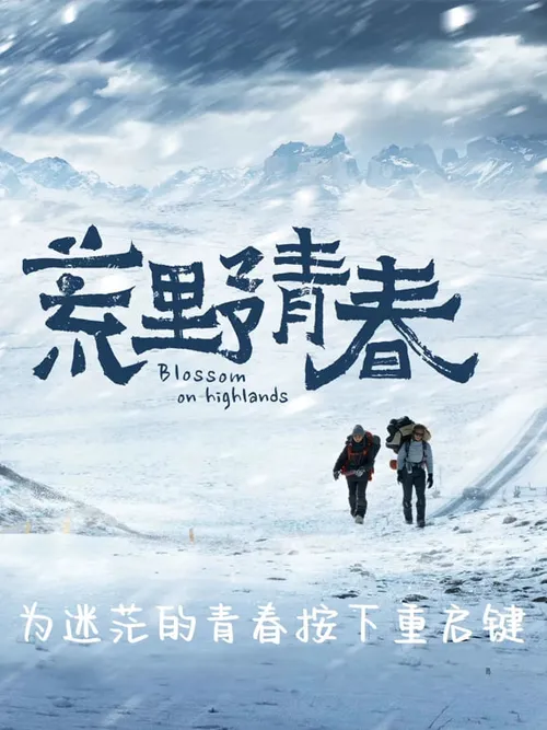 荒野青春