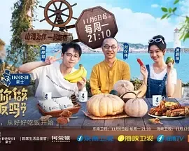 可以给你做顿饭吗第2季