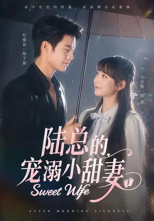 陆总的宠溺小甜妻