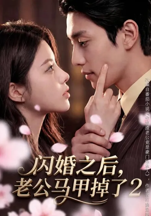 闪婚之后，老公马甲掉了2
