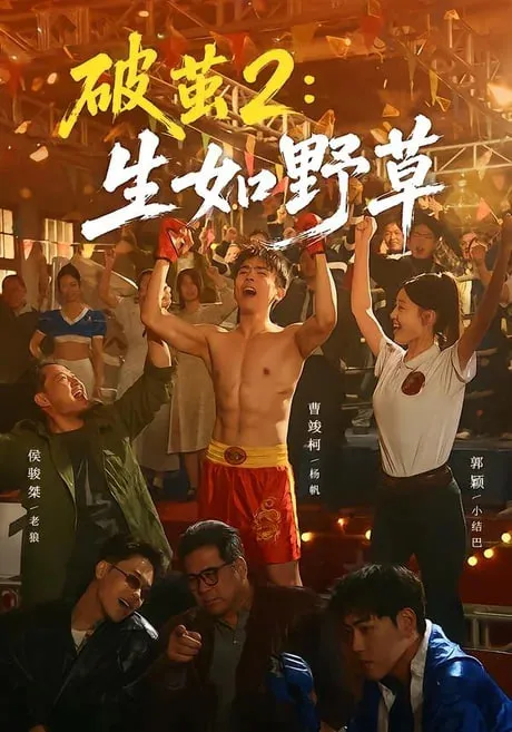 破茧2生如野草
