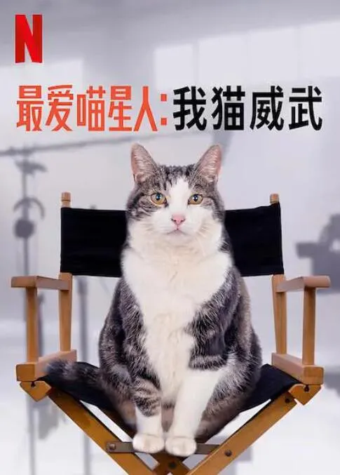 最爱喵星人我猫威武