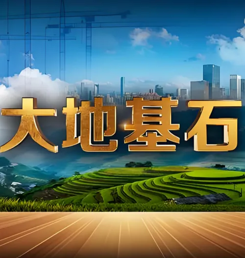 大地基石