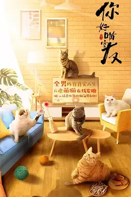 你好喵室友