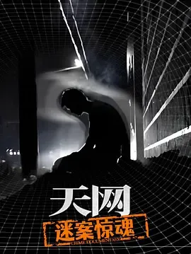 天网迷案惊魂