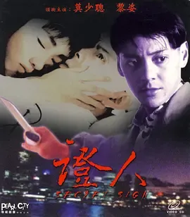 证人(1993)