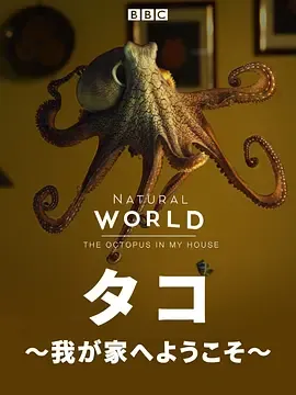 自然世界家里的章鱼