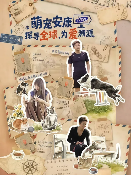 探寻全球，为爱溯源