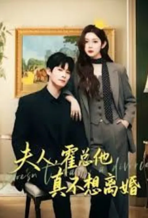 夫人，霍总他真不想离婚