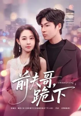 前夫哥，跪下