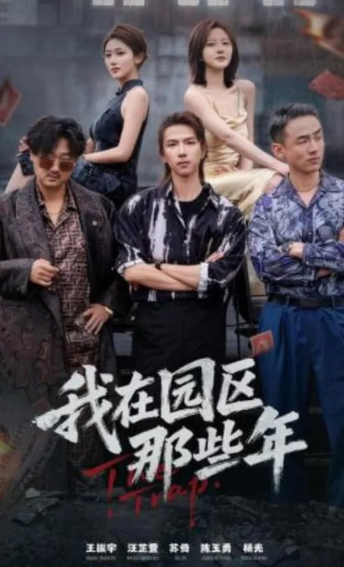 我在园区那些年
