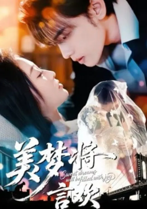 美梦将言欢