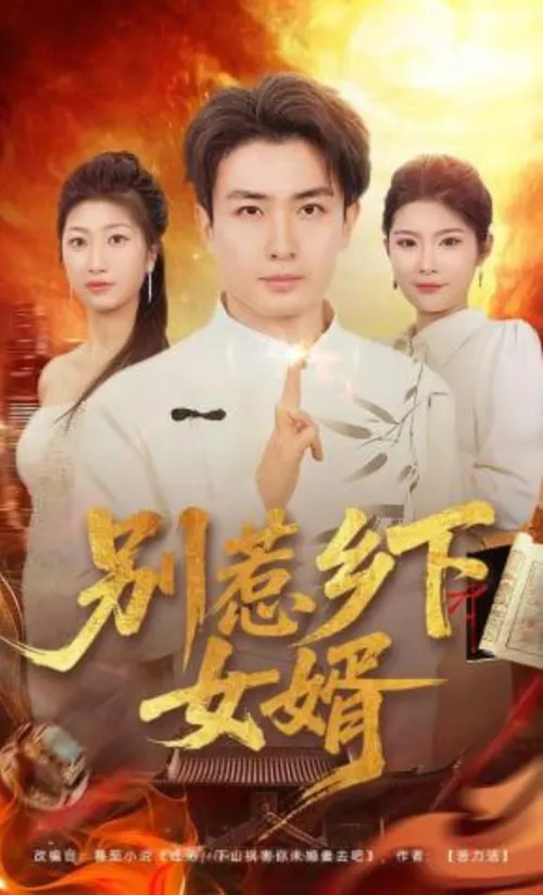 别惹乡下女婿