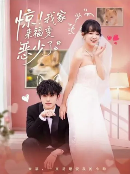 惊！我家来福变恶少了（忠犬变恶少）