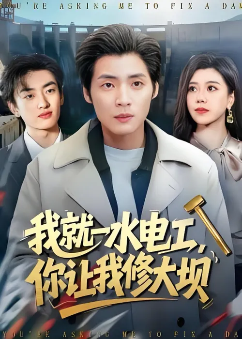 我就一水电工，你让我修大坝
