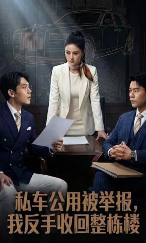 私车公用被举报，我反手收回整栋楼
