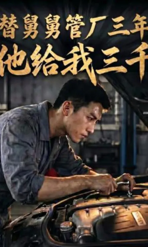 替舅舅管厂三年他给我三千