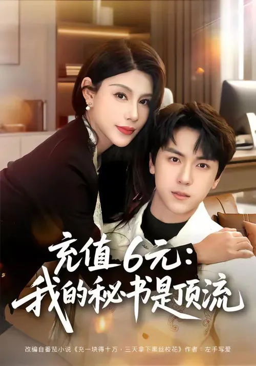 充值6元我的秘书是顶流