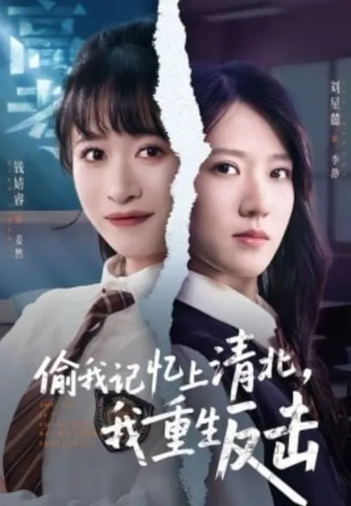 偷我记忆上清北，我重生反击