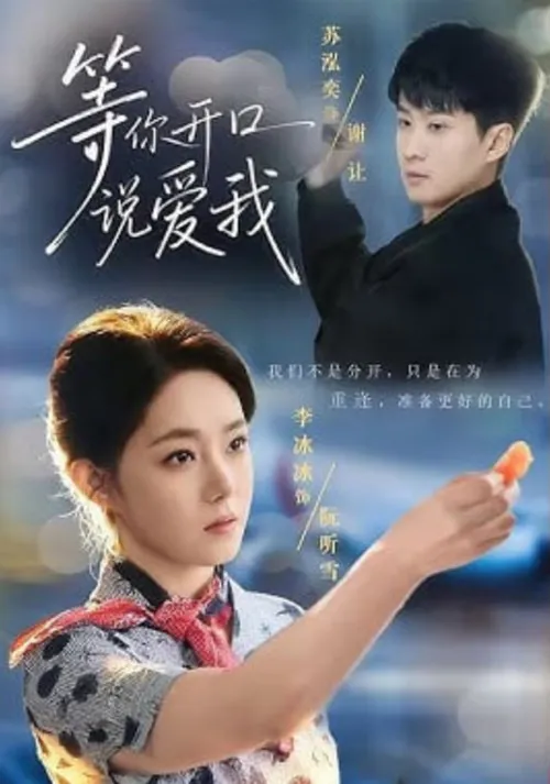 等你开口说爱我