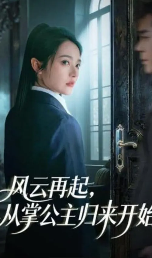 风云再起，从掌公主归来开始