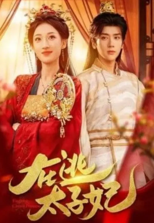 在逃太子妃