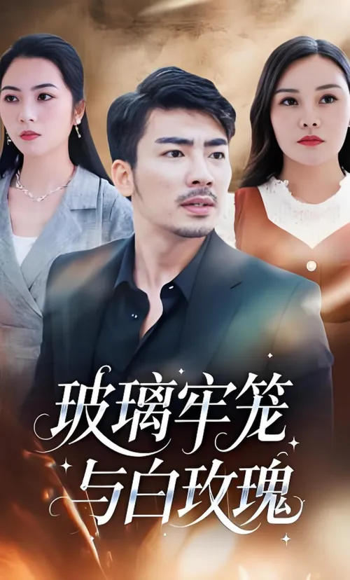 玻璃牢笼与白玫瑰