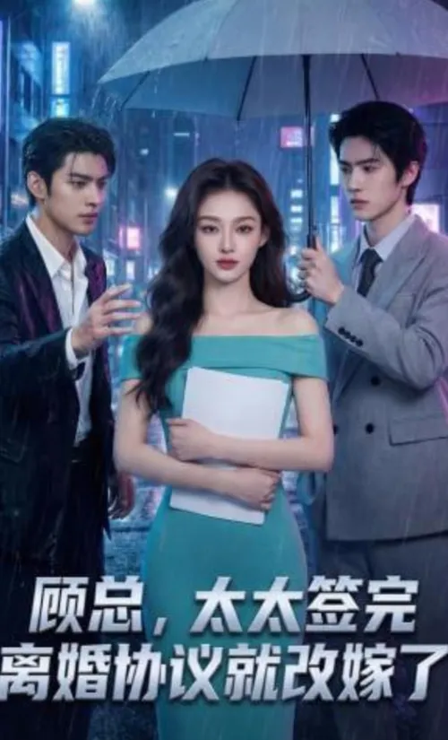 顾总，太太签完离婚协议就改嫁了