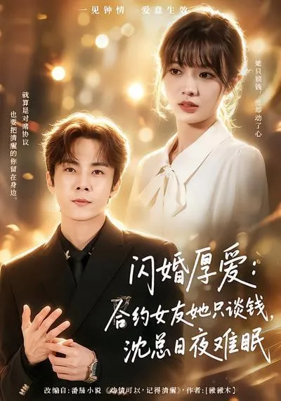 闪婚厚爱合约女友她只谈钱，沈总日夜难眠