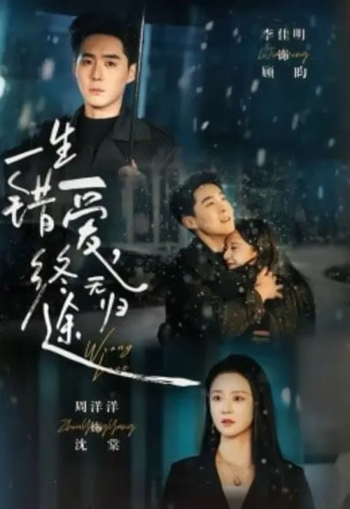 一生错爱，终无归途